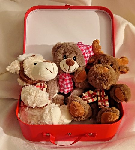 Kuscheltiere mit rotem koffer - mit,
